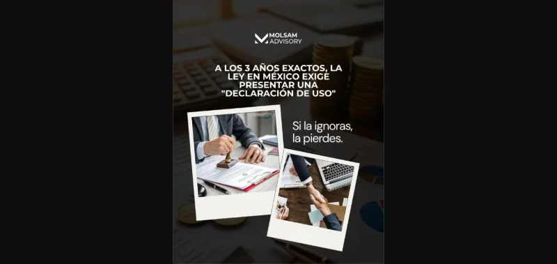 Declaración de uso de marca ante el IMPI: cuándo se presenta y qué pasa si la olvidas - imagen 3