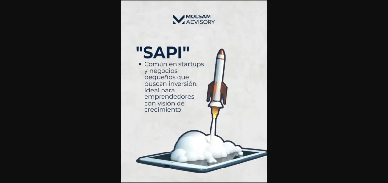 Qué tipo de sociedad conviene para tu negocio en México - imagen 4