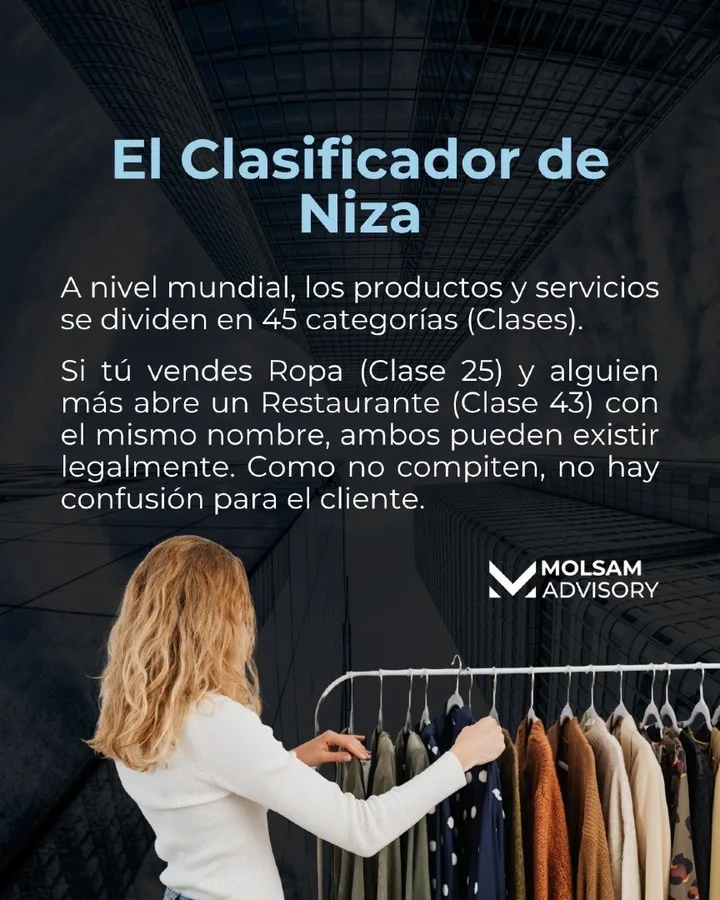 Dos marcas pueden llamarse igual: las clases de Niza - imagen 3