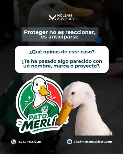 El Pato Merlín: cómo un personaje callejero se volvió una mina de oro marcaria