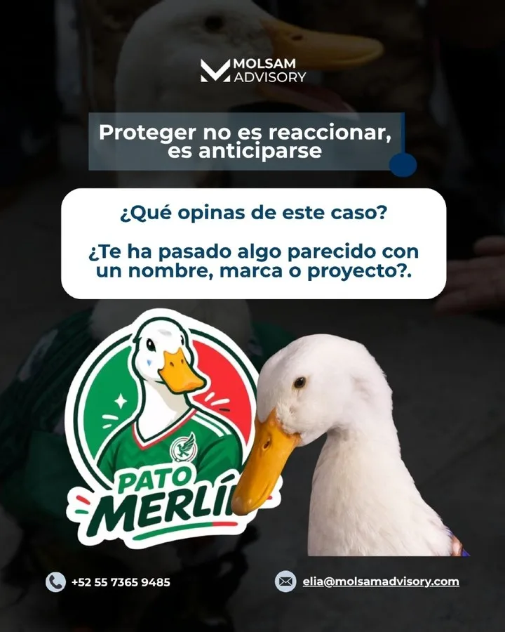 El Pato Merlín: cómo un personaje callejero se volvió una mina de oro marcaria - imagen 6