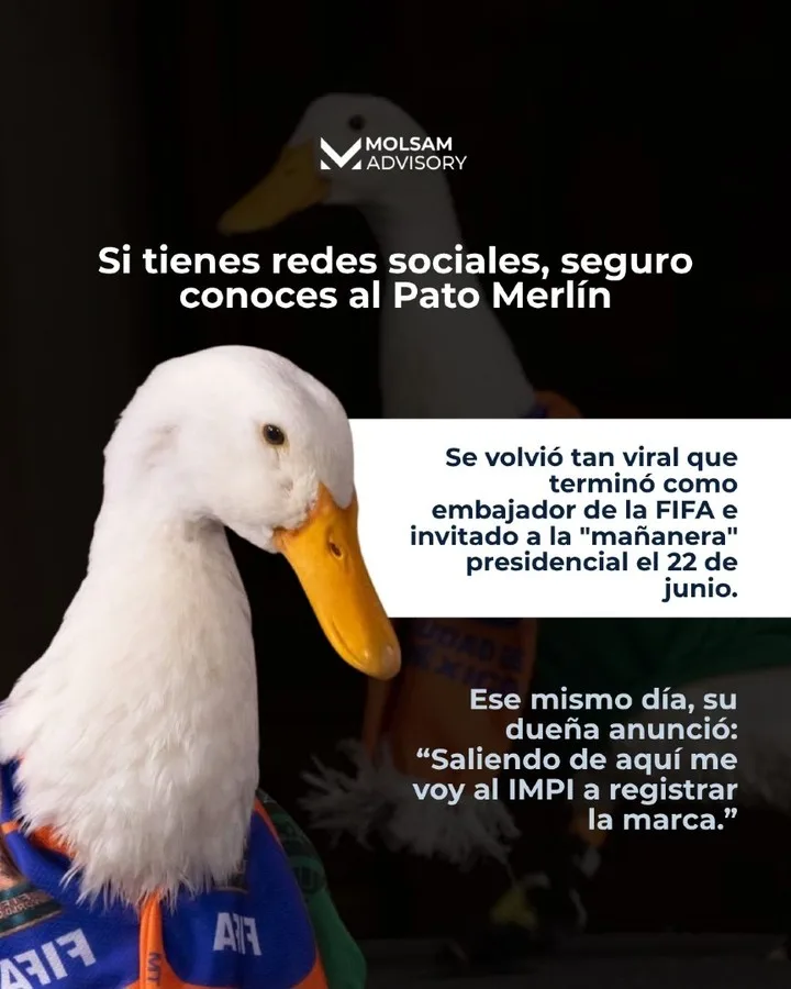 El Pato Merlín: cómo un personaje callejero se volvió una mina de oro marcaria - imagen 2