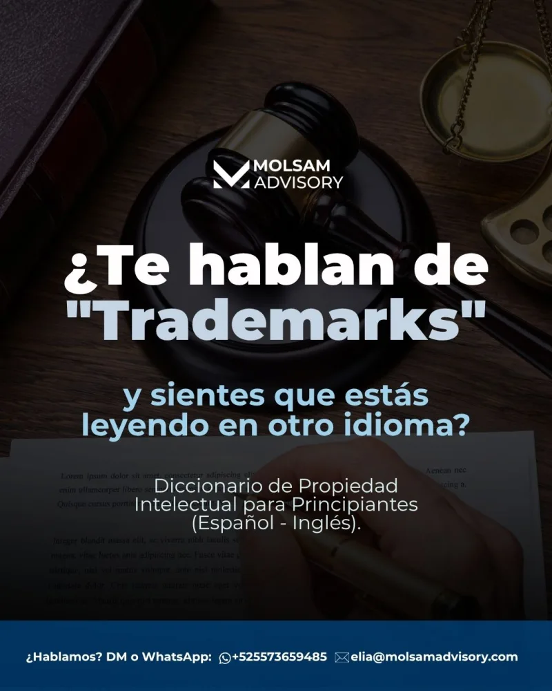 Diccionario de propiedad intelectual español-inglés para principiantes - imagen 1