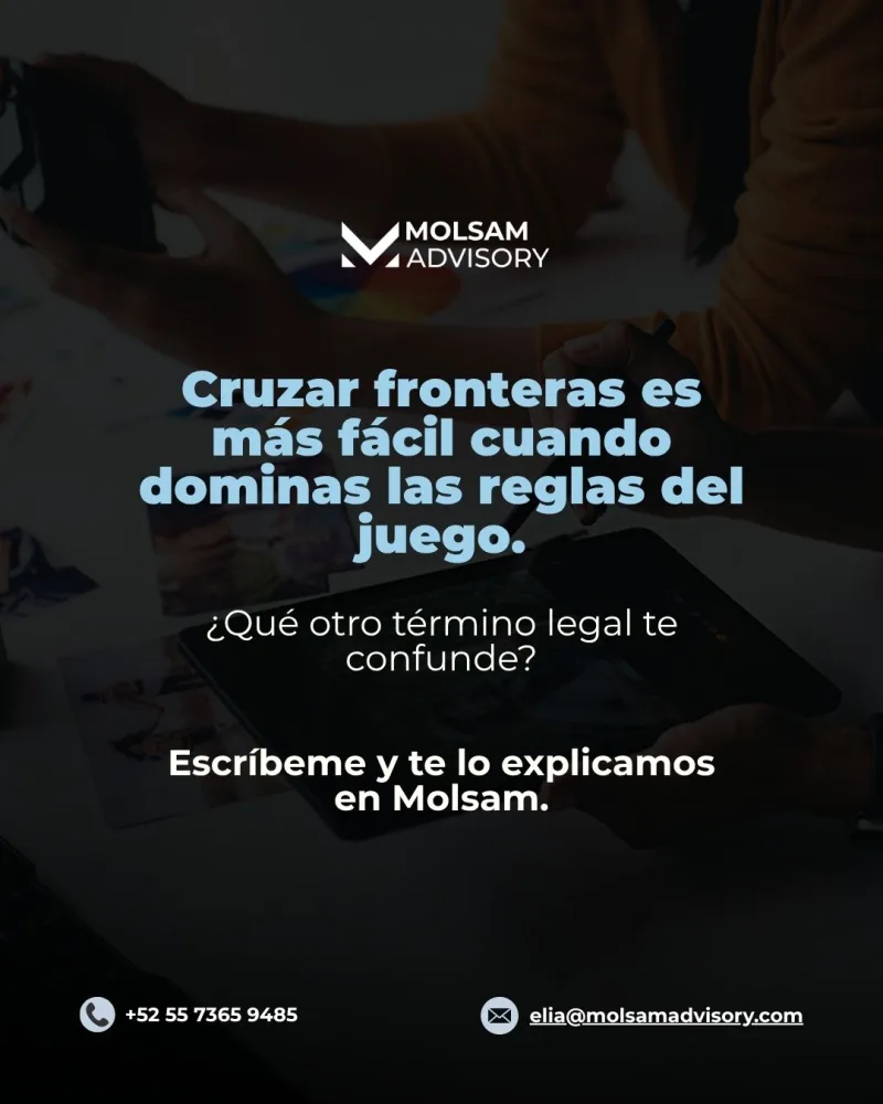Diccionario de propiedad intelectual español-inglés para principiantes - imagen 6