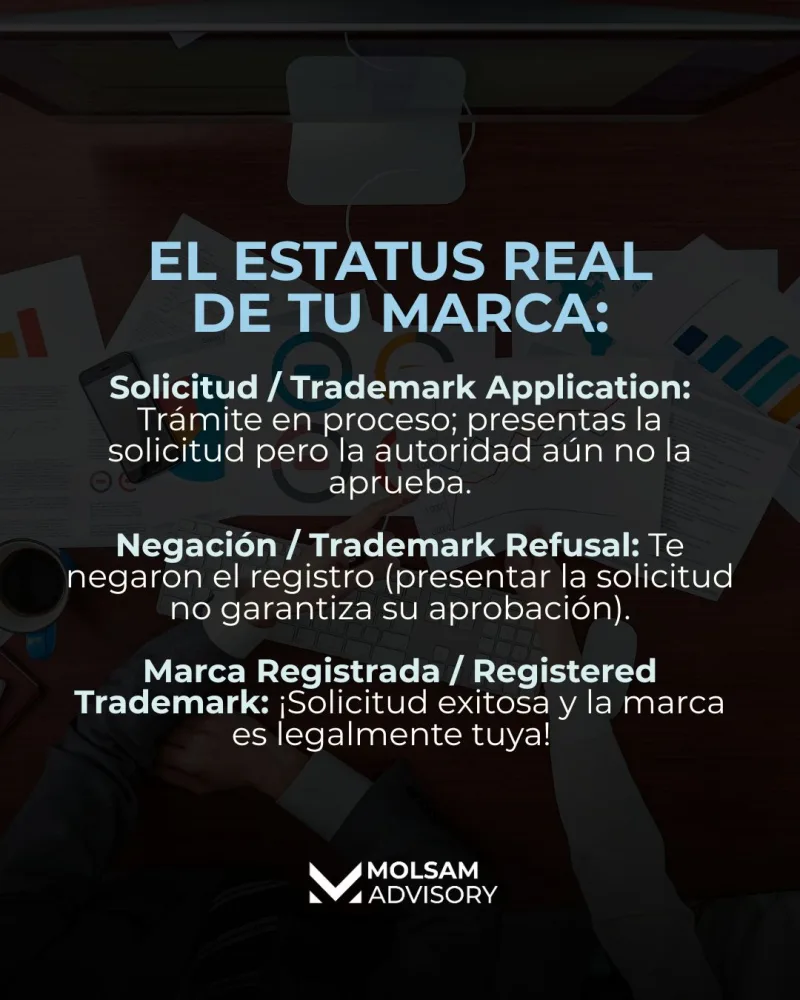 Diccionario de propiedad intelectual español-inglés para principiantes - imagen 4