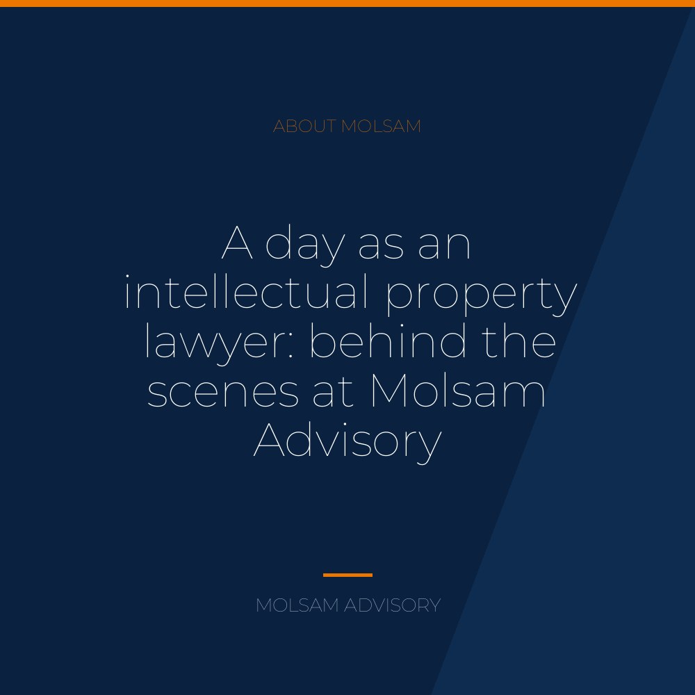 A day as an intellectual property lawyer: behind the scenes at Molsam Advisory