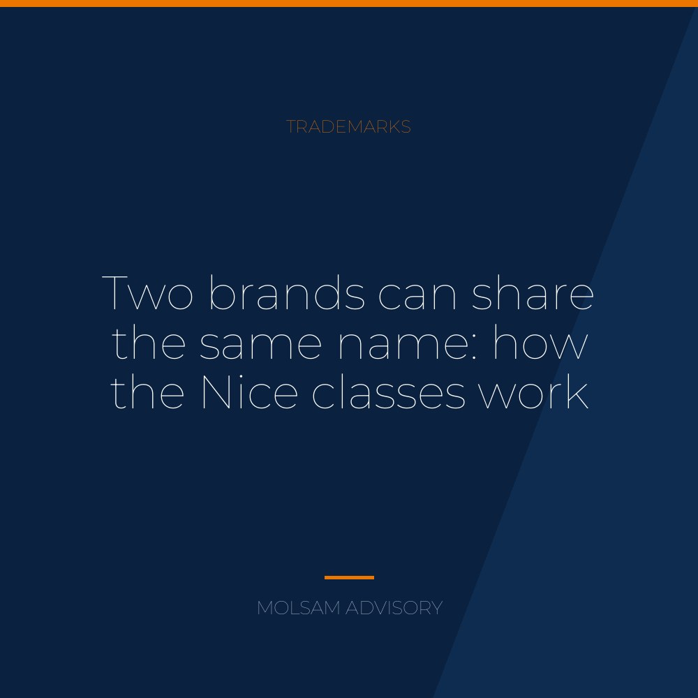 Two brands can share the same name: how the Nice classes work